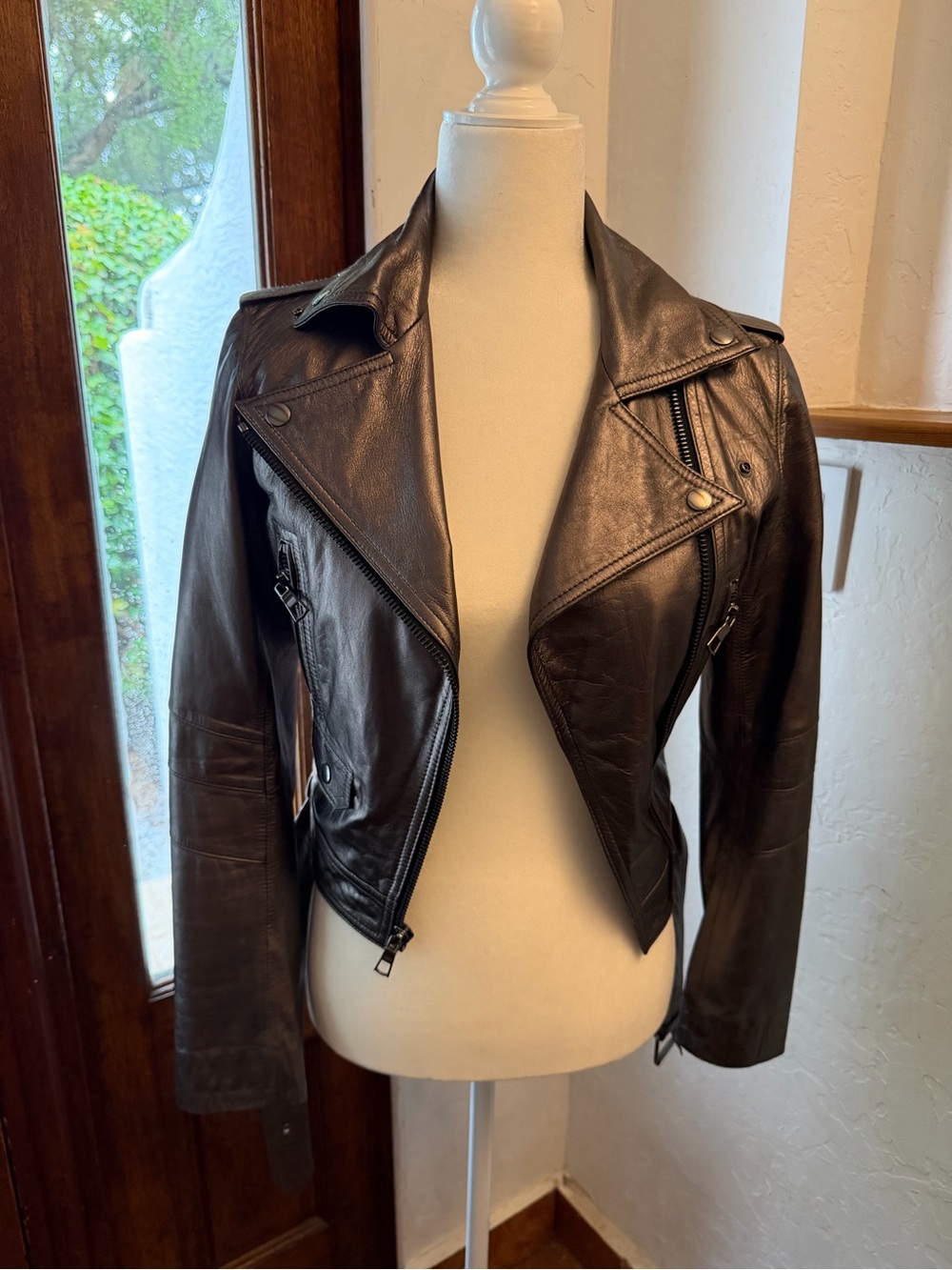 Parker Metallic Leather Asymmetric Moto Biker Jacket